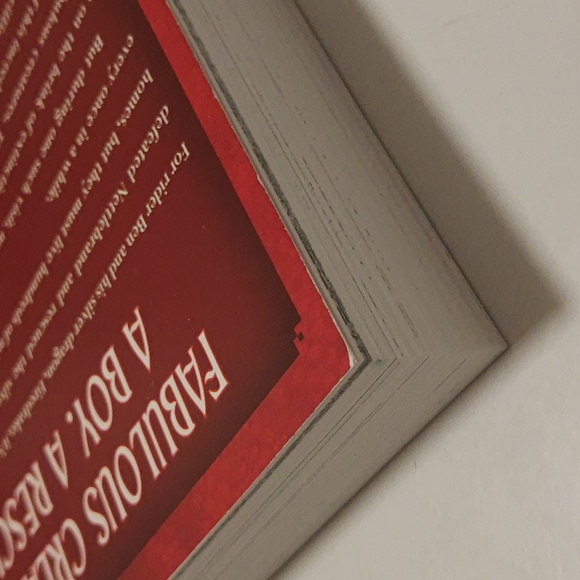 Dragon Rider Paperback Books 1 and 2 - Picture 13 of 16